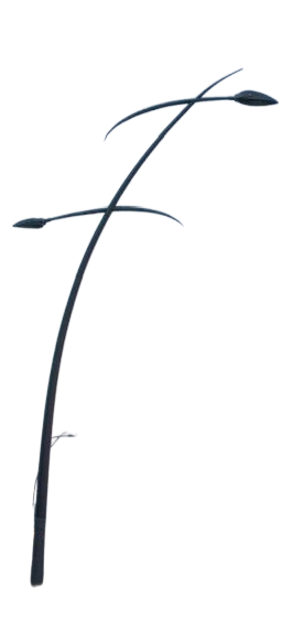 آلان
